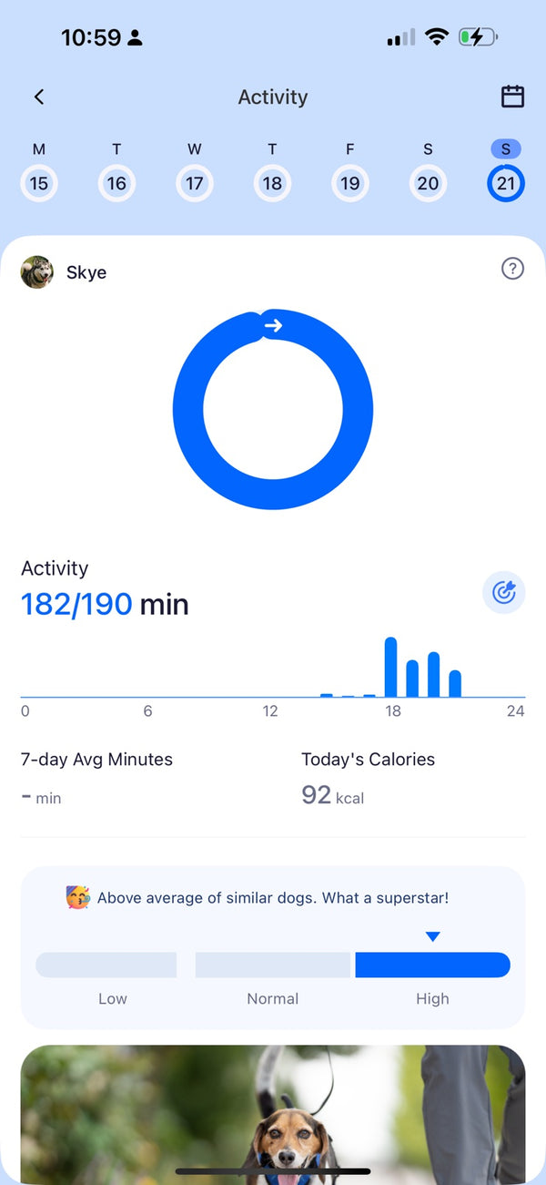 Pet tracker app activity dashboard showing daily minutes, calorie burn, and performance comparison.