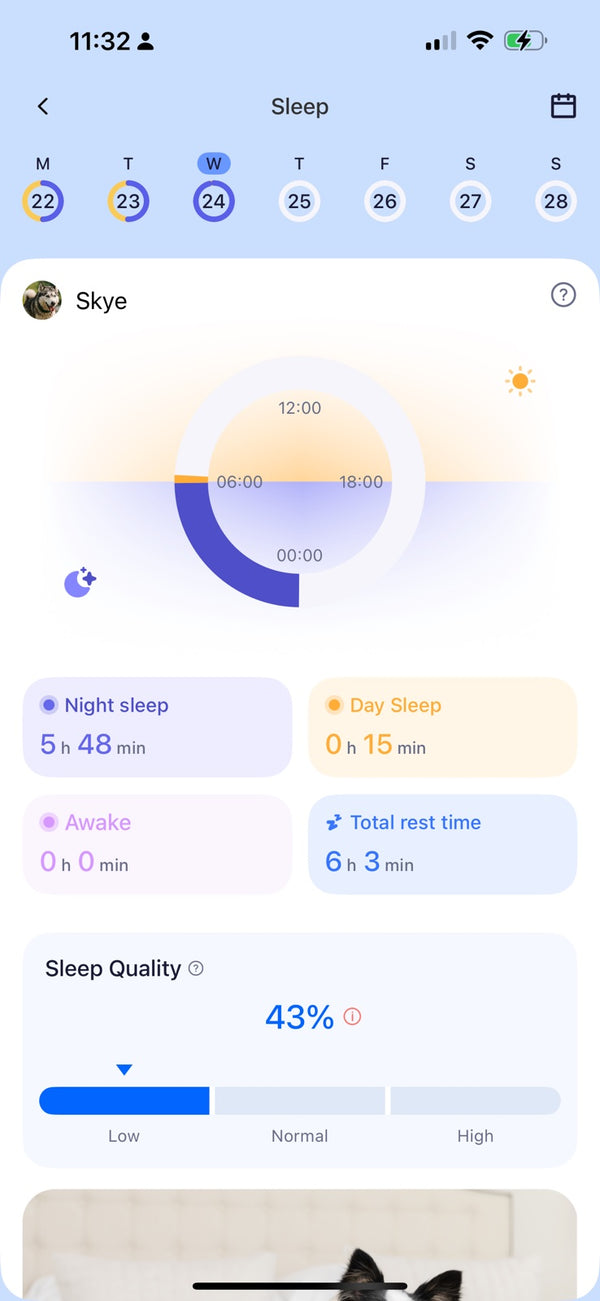Pet tracker app sleep dashboard showing night sleep, day naps, total rest time, and sleep quality score.